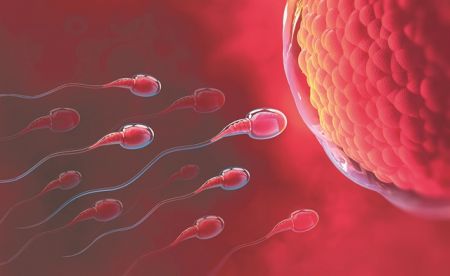 Φεστιβάλ γονιμότητας στο Ζάππειο