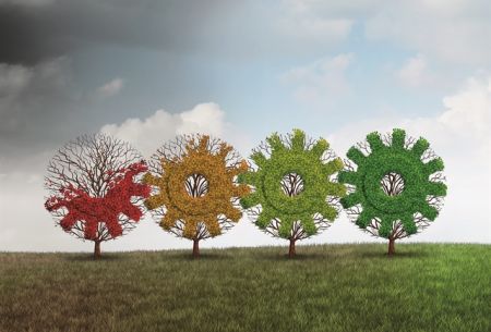 Μετά την πτώση η ανάταξη