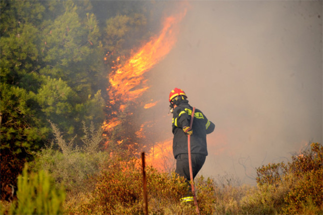 Συναγερμός στην Εύβοια : Μεγάλη πυρκαγιά στην περιοχή Μανίκια