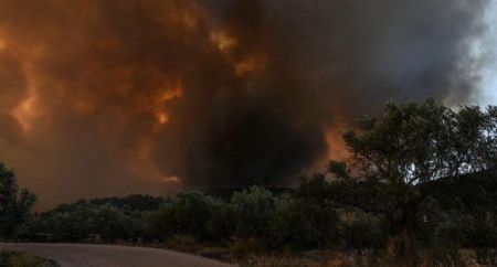 Φωτιά στην Ευβοια : Εικόνες καταστροφής  – Ενδείξεις εμπρησμού – Μια σύλληψη