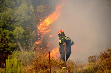 Συναγερμός στα Σπάτα : Φωτιά σε δασική έκταση