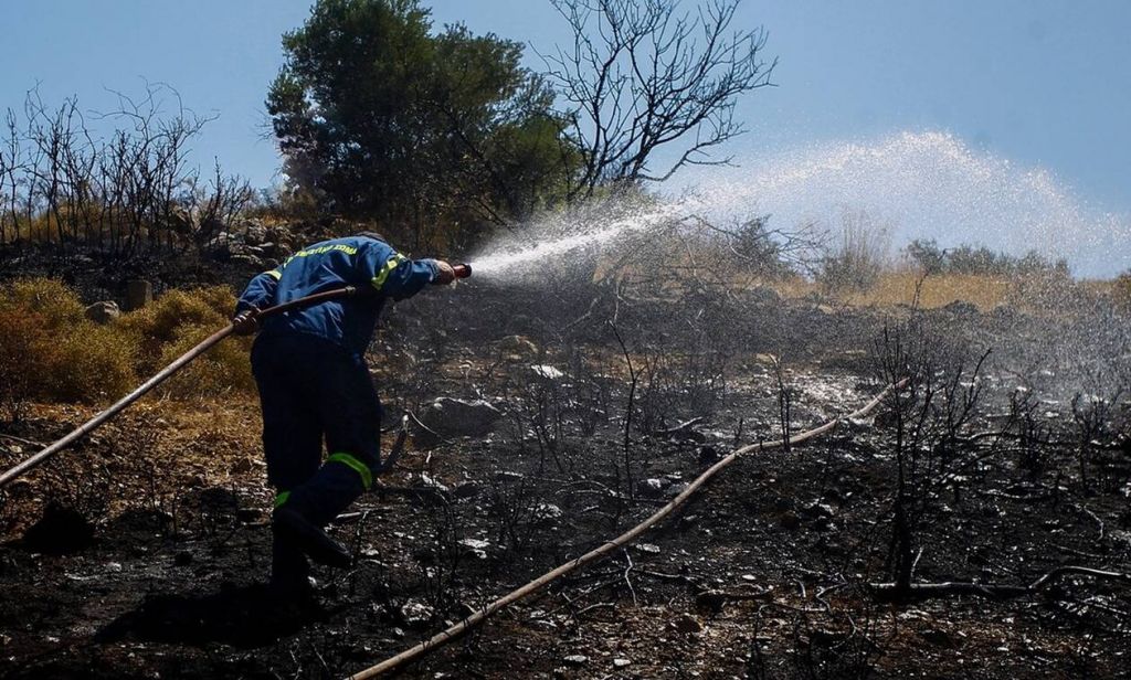 Υπό έλεγχο η φωτιά στη Φυλή