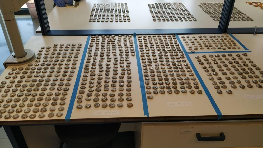 Τελωνείο Κήπων: Συνελήφθη με 1.055 αρχαία Ελληνικά νομίσματα στις αποσκευές του