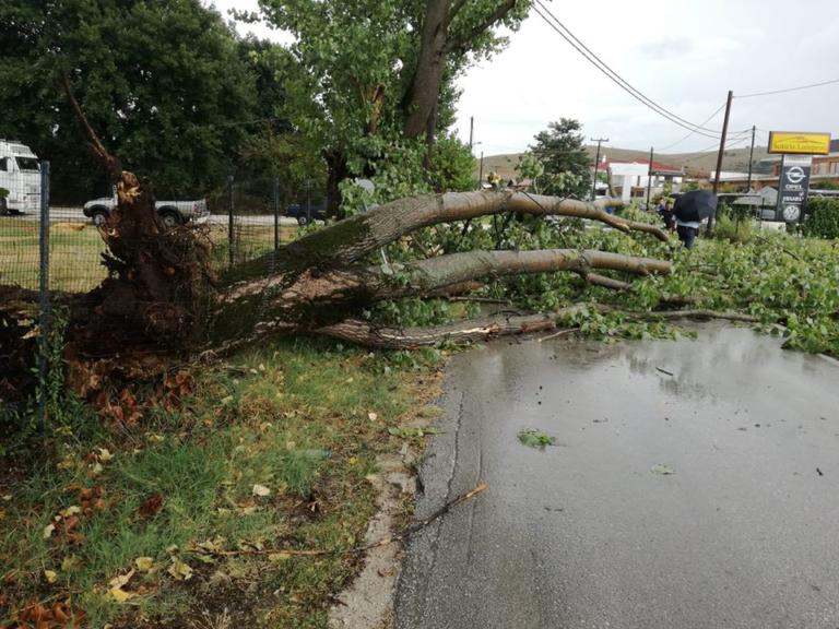 Θυελλώδεις άνεμοι και χαλάζι στη Θεσσαλία
