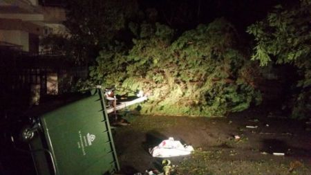 Χαλκιδική:  Μαρτυρία για τον τραγικό θάνατο μητέρας και γιου από τη θεομηνία