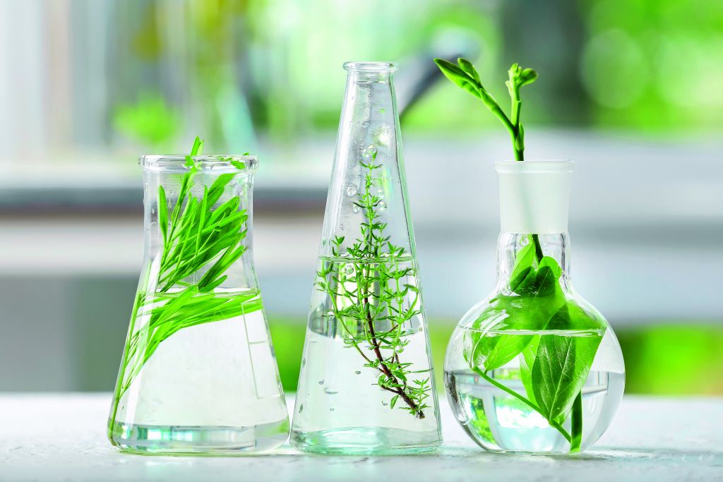 Τα after sun της φύσης