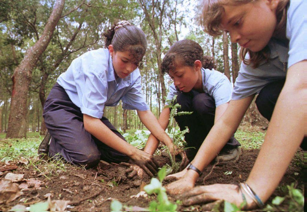 1 τρισ. δέντρα ως «αντίδοτο» στην κλιματική αλλαγή