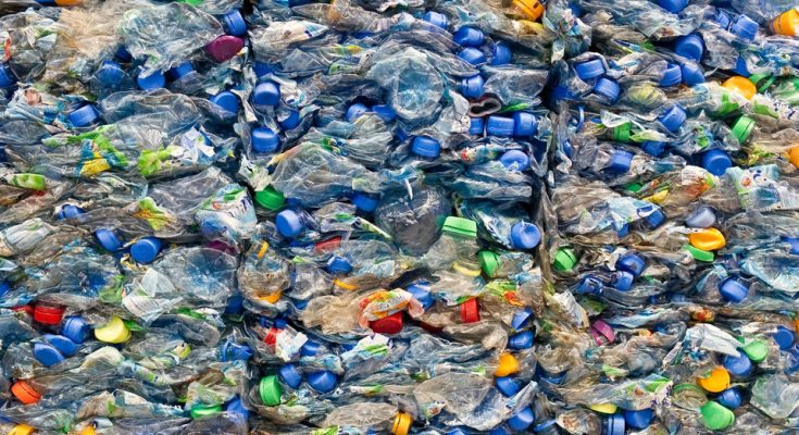 Κάν’ το όπως ο Νορβηγός