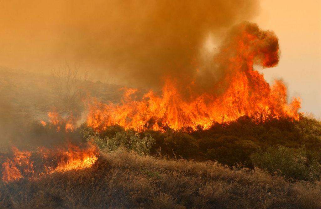 Πυρκαγιά σε δασική έκταση στην Ανατολική Μάνη