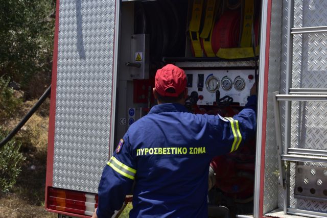 Κιθαιρώνας: Δυσκολεύει το μέτωπο της πυρκαγιάς – Ενισχύονται οι δυνάμεις