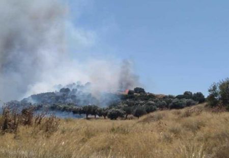 Μάχη με τις φλόγες : Δύσκολη η κατάσταση στο Μαρκόπουλο – Εκκένωση οικισμού στα Μέγαρα