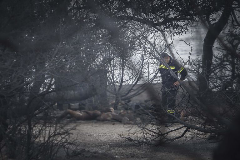 Μάτι – ο επιζών στο οικόπεδο «τάφος»: Πίστεψα ότι είχε έρθει και η δική μου ώρα