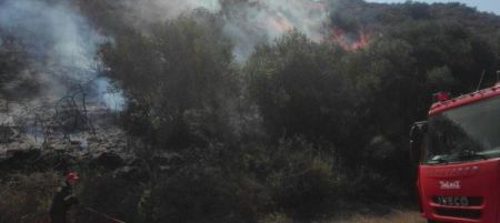 Φωτιά στη Ζάκυνθο