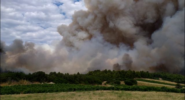 Μαίνεται η φωτιά στην Τανάγρα –  Μάχη με τις φλόγες δίνουν πάνω από 170 πυροσβέστες