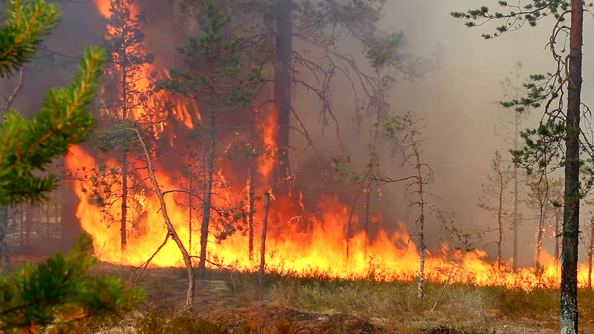 Σε κατάσταση έκτακτης ανάγκης η Σιβηρία: Στις φλόγες 16 εκατ. στρέμματα γης