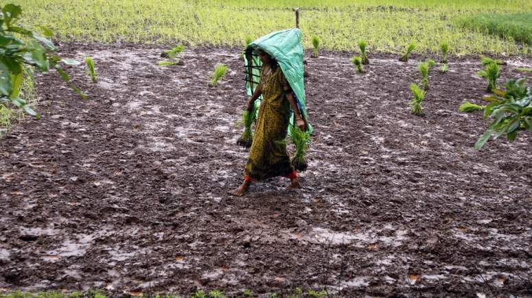 Ινδία: Αναγκάζουν εργάτριες γης να αφαιρέσουν την μήτρα τους για να είναι παραγωγικές