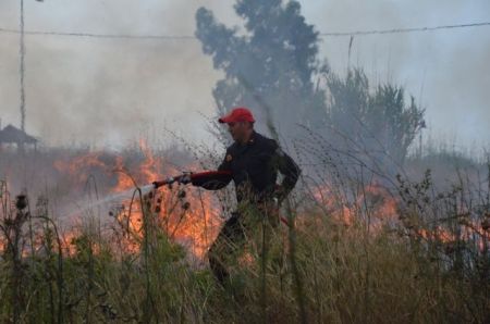 Φωτιά στην Κέρκυρα – Καίει αγροτοδασική έκταση