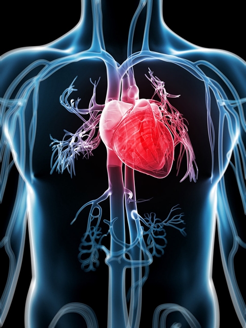 Kορωνοϊός : Πώς καταστρέφει τα κύτταρα του καρδιακού μυός – Κίνδυνος επιδημίας καρδιοπαθειών