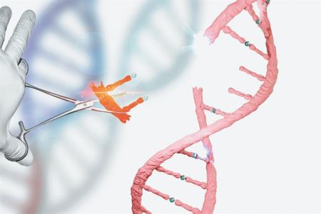 Γενετική «κοπτοραπτική»