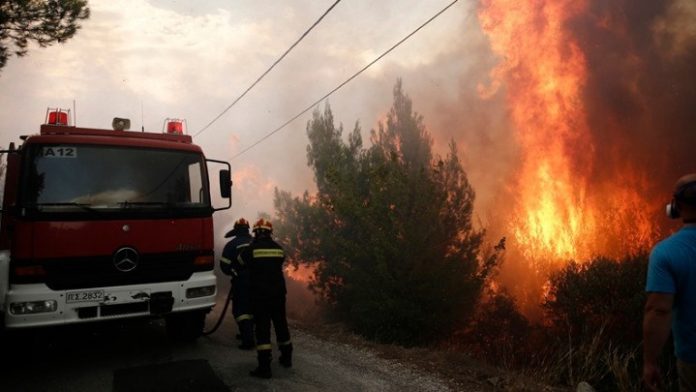 Κρήτη: Υπό έλεγχο η πυρκαγιά στην Τύλισσο