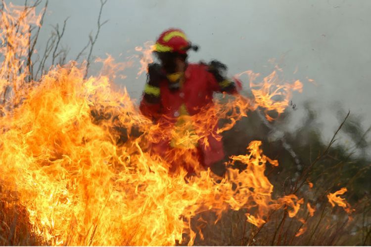 Δώδεκα πυρκαγιές σε όλη την Ελλάδα την Παρασκευή