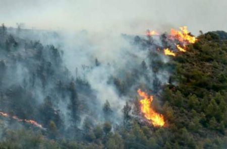 Σε εξέλιξη η πυρκαγιά στην Αρχαία Ολυμπία- Στάχτη 3 στρέμματα δάσους