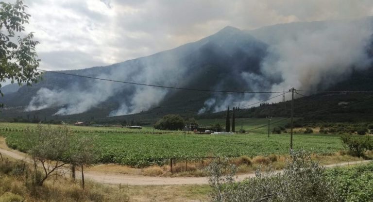 Πυρκαγιά στην Τιθορέα: Εκδηλώθηκε σε πέντε σημεία – Υποψίες για εμπρησμό | tovima.gr