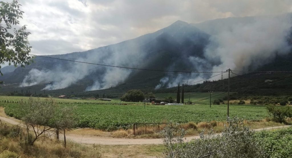 Πυρκαγιά στην Τιθορέα: Εκδηλώθηκε σε πέντε σημεία – Υποψίες για εμπρησμό