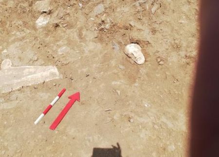 Τήνος: Εντυπωσιακές εικόνες από την ανακάλυψη μεγάλου αριθμού επιτύμβιων στηλών