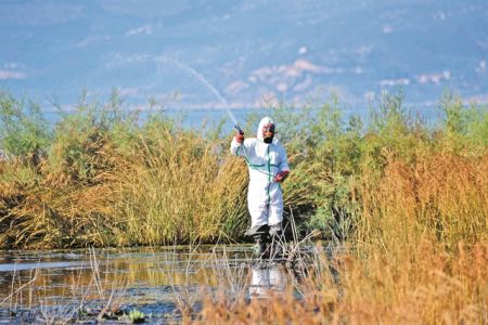 Ο ιός του Δυτικού Νείλου χτυπά την τρίτη ηλικία