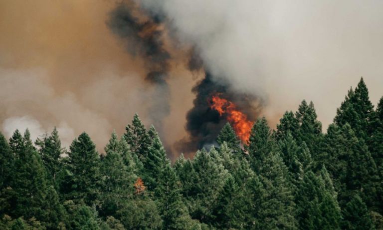 Ακραίος κίνδυνος πυρκαγιάς αύριο Σάββατο | tovima.gr