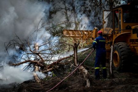 Πυρκαγιά στη Βάρδα Ηλείας – Κινητοποίηση της Πυροσβεστικής
