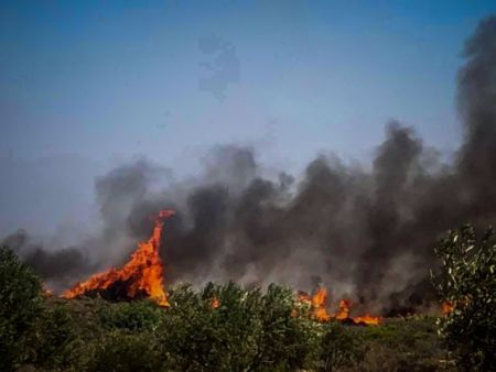 Μαίνεται η πυρκαγιά στην Ελαφόνησο – Ενισχύονται οι πυροσβεστικές δυνάμεις