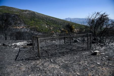 Το παράδειγμα του Υμηττού