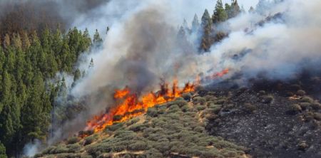 Γκραν Κανάρια: Στάχτη 15.000 στρέμματα γης – Συνεχίζεται η μάχη με τις φλόγες