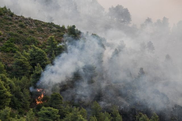 Φωτιά στην Εύβοια: Οι πυκνοί καπνοί εμποδίζουν τα αεροσκάφη – Διάσπαρτα πύρινα μέτωπα ανά τη χώρα | tovima.gr