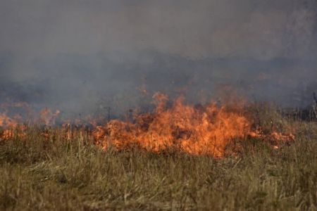Πύρινα μέτωπα σε όλη την Επικράτεια: Στις φλόγες η Εύβοια, απειλούνται χωριά