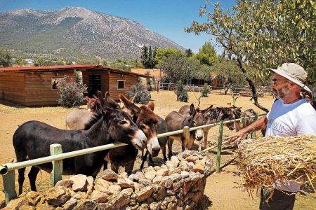 Mία ημέρα γεμάτη ευαισθησία