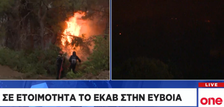 Πρόεδρος Εργαζομένων ΕΚΑΒ στο One Channel: Δραματική η κατάσταση στην Εύβοια | tovima.gr