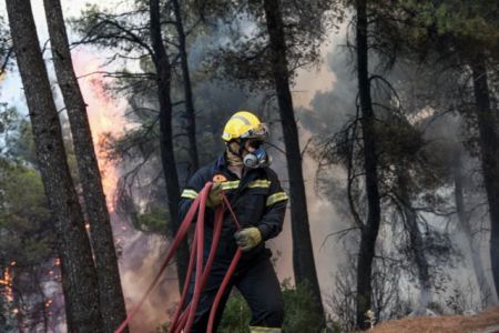 Φωτιά στην Εύβοια: Μάχη για την ανάσχεσή της σε Πλατάνα και Κοκκάλα – Φόβος για αναζωπυρώσεις