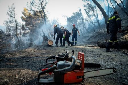 Εύβοια: Σε δύο πύρινα μέτωπα «παλεύουν» οι πυροσβέστες υπό την απειλή της ενίσχυσης των ανέμων