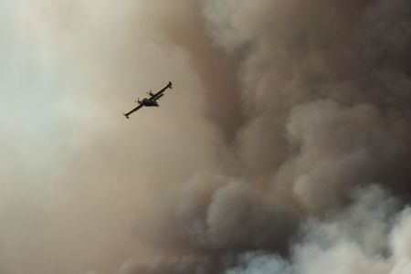 Πρόεδρος δασικών υπαλλήλων στο One Channel : Υπάρχουν διαχρονικές ελλείψεις «χρειάζονται χέρια»