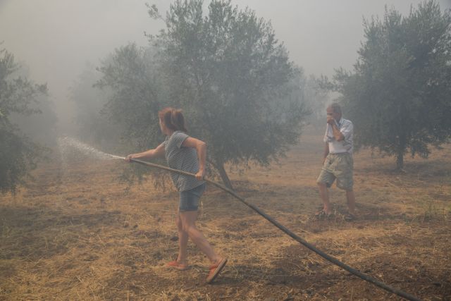 Εύβοια – πυρκαγιά: Αναζωπύρωση στη Μακρυμάλλη | tovima.gr