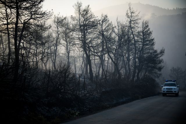 ΚΚΕ: Έλλειψη ολοκληρωμένης διαχείρισης και προστασίας των δασών | tovima.gr