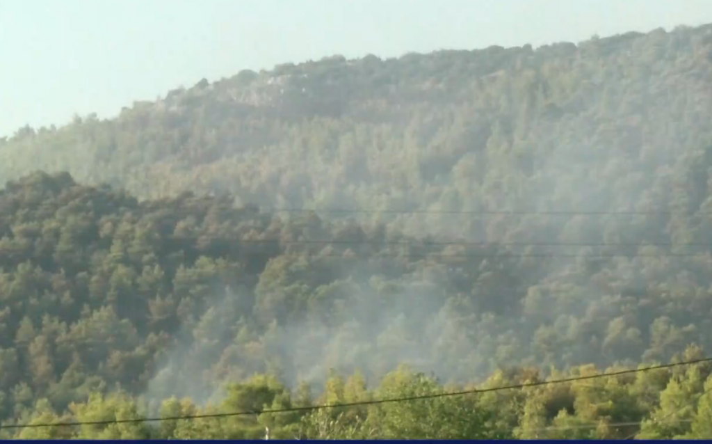 Πρόεδρος Διαμερίσματος Ψαχνών – Μακρυμαλλίου One Channel: Σε δύο ώρες θα είναι υπό έλεγχο η φωτιά