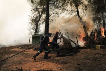 Φωτιά στην Εύβοια: Πιλότοι και πυροσβέστες στη μάχη κατά των αναζωπυρώσεων