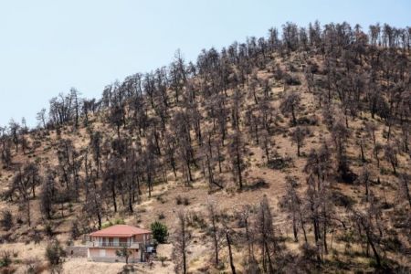 Εύβοια πυρκαγιά: Η επόμενη μέρα και ο φόβος των κατοίκων