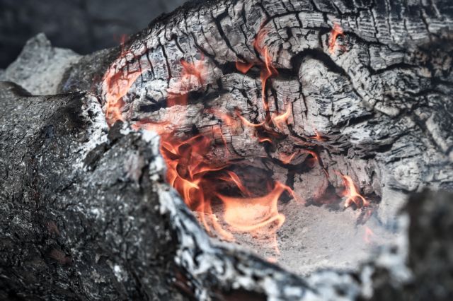 Δήμαρχος Διρφύων στο One Channel: Με την καταγραφή θα ξέρουμε εάν κάηκε περιοχή Natura