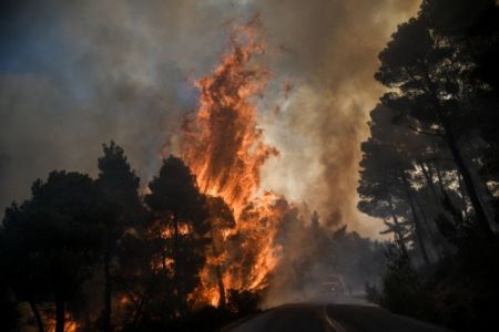 Εύβοια: Μαύρη γη άφησε πίσω της η πυρκαγιά – Τεράστια η οικολογική καταστροφή