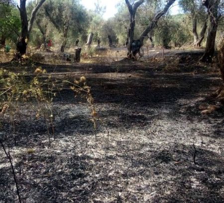 Υπό έλεγχο η φωτιά στον Ίσσο Κέρκυρας
